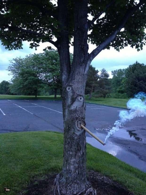 Klyker Picdump #1644 (44 photos)