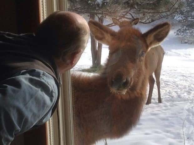 Klyker Picdump #1644 (44 photos)