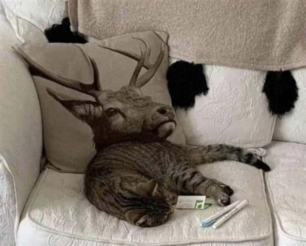 look twice 14 Look Twice, Trust Me #23 (23 photos)