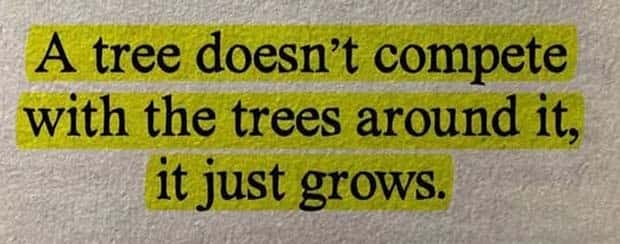 Motivational Quotes, Because It’s Monday #137 (22 photos)