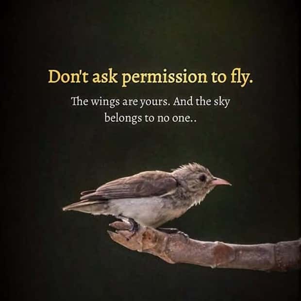 Motivational Quotes, Because It’s Monday #137 (22 photos)