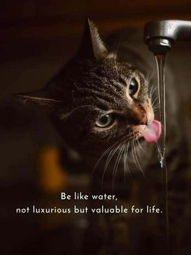 Motivational Quotes, Because It’s Monday #138 (22 photos)