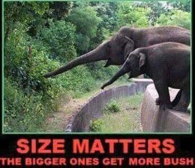 Naughty Memes that Will Make You Giggle #5 (23 photos)