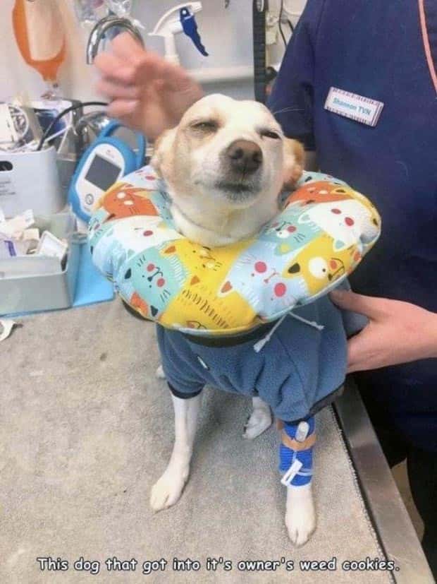 Interesting Pictures with Captions #137 (27 photos)