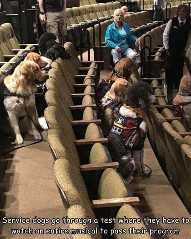 Interesting Pictures with Captions #139 (26 photos)