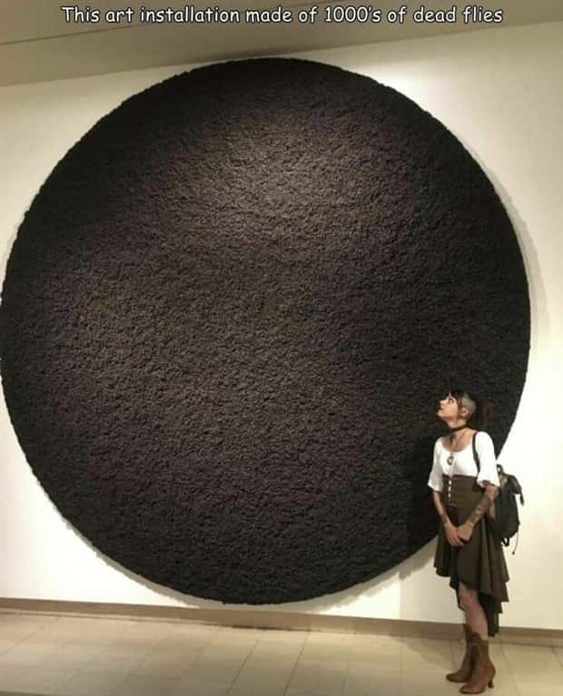 Interesting Pictures with Captions #137 (27 photos)