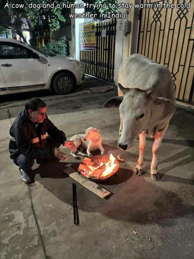 Interesting Pictures with Captions #139 (26 photos)