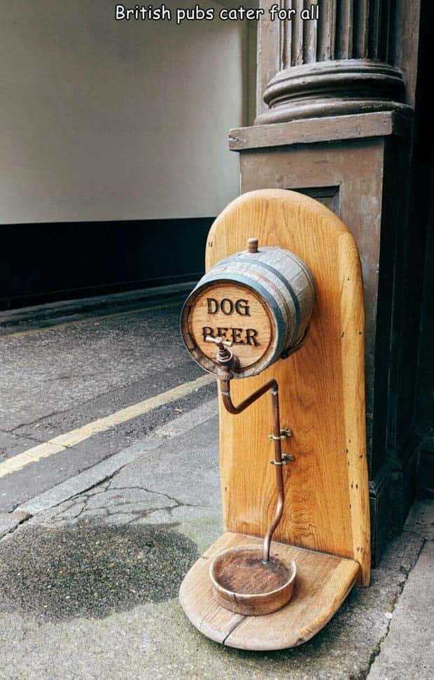 Interesting Pictures with Captions #139 (26 photos)