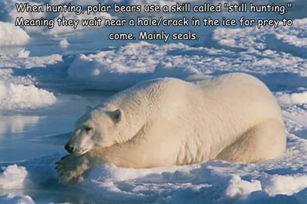 Interesting Pictures with Captions #140 (23 photos)