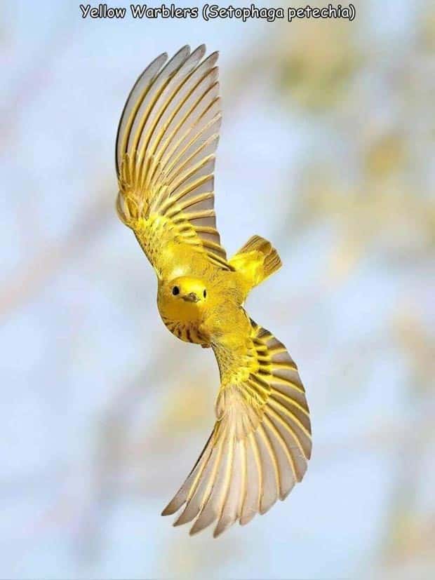 Interesting Pictures with Captions #137 (27 photos)