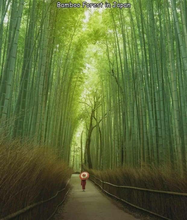 Interesting Pictures with Captions #140 (23 photos)