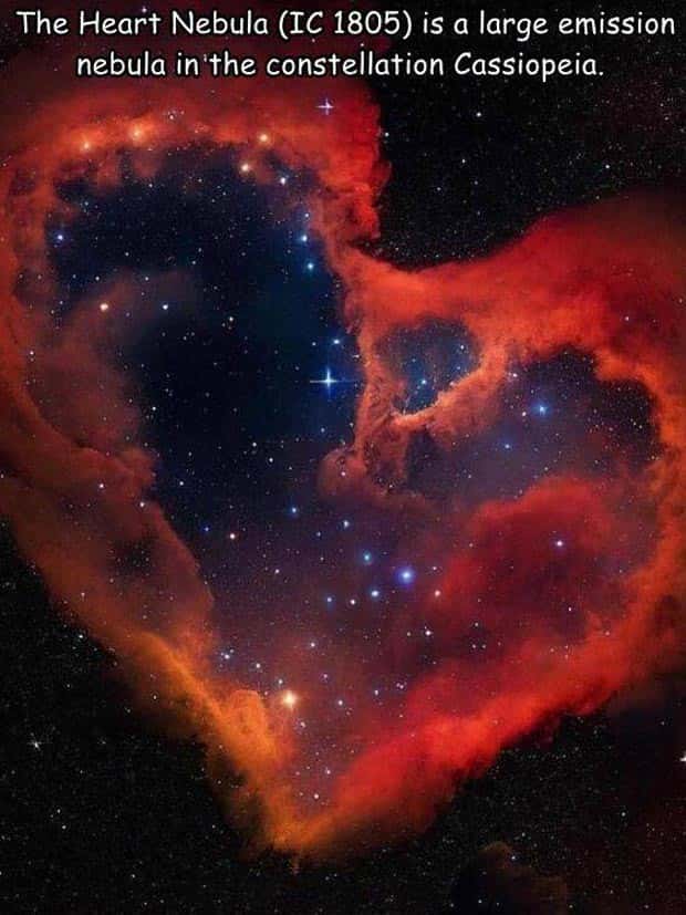 Interesting Pictures with Captions #137 (27 photos)