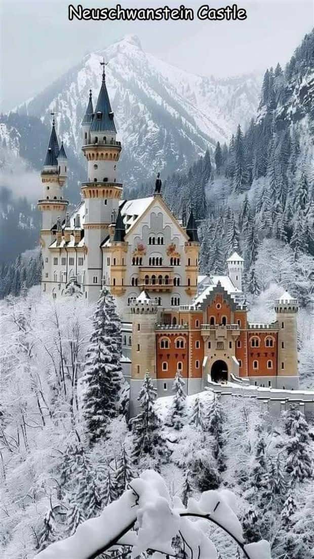 Interesting Pictures with Captions #140 (23 photos)