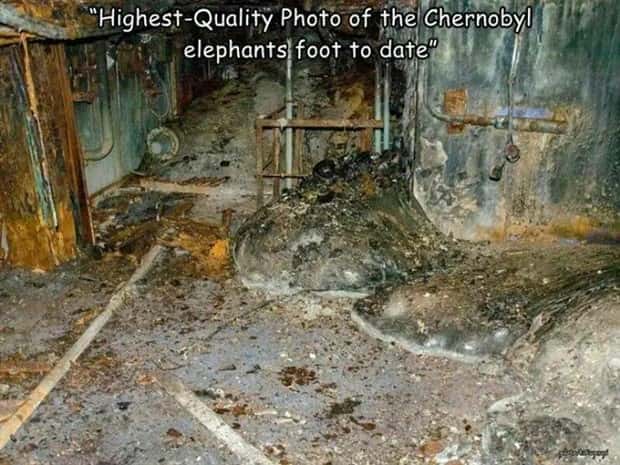 Interesting Pictures with Captions #137 (27 photos)