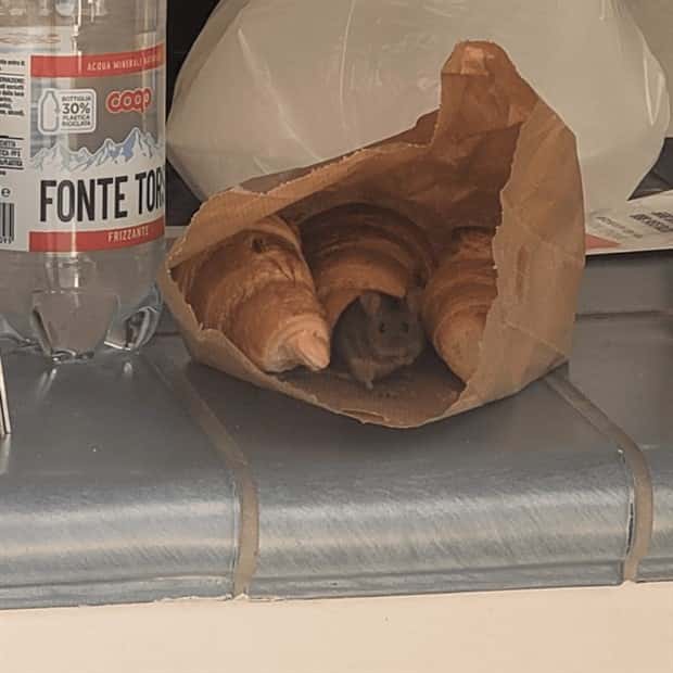 Shit Happens Regularly, Get Used To It #313 (26 photos)