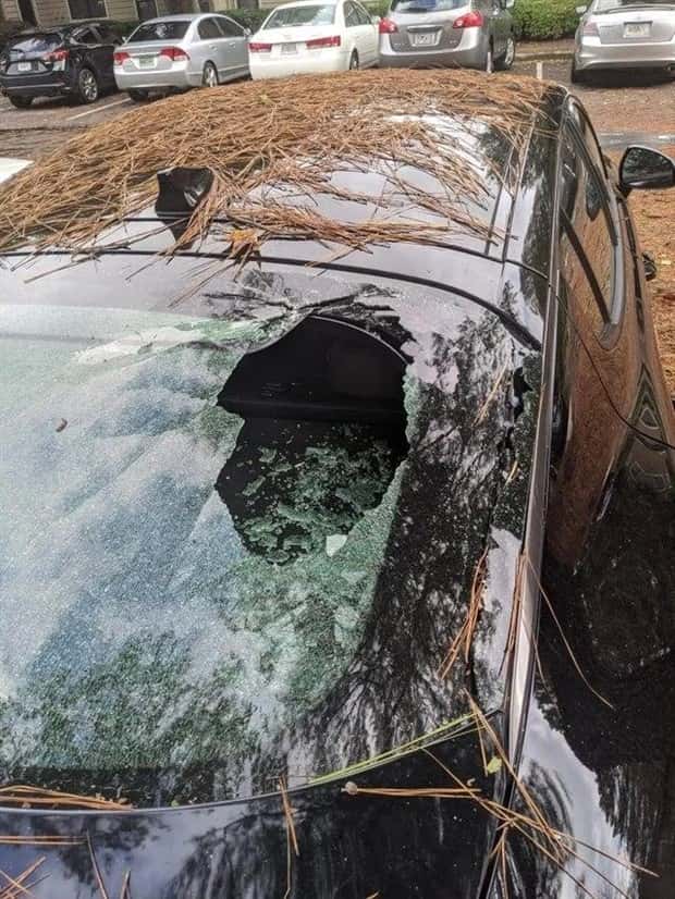 Shit Happens Regularly, Get Used To It #313 (26 photos)