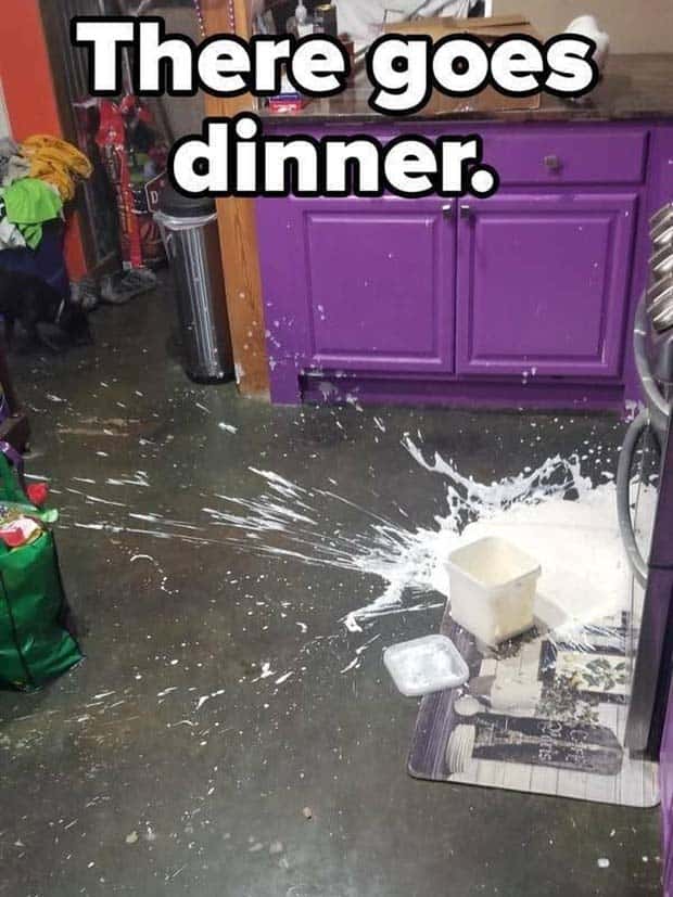 shit happens 2 1 Shit Happens Regularly, Get Used To It #311 (24 photos)