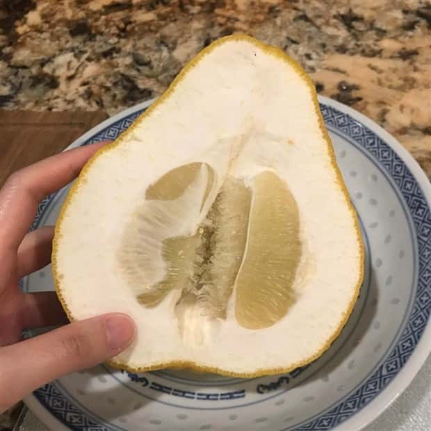 Shit Happens Regularly, Get Used To It #313 (26 photos)