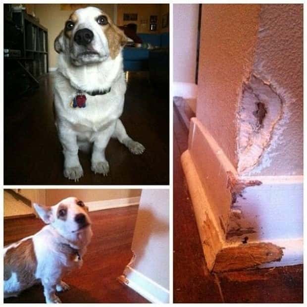 Shit Happens Regularly, Get Used To It #313 (26 photos)