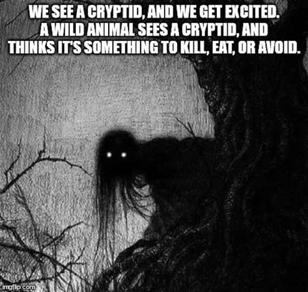 shower thoughts 18 Funny Shower Thoughts #135 (25 photos)