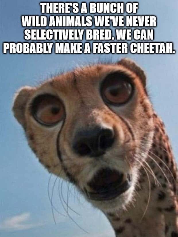 shower thoughts 19 Funny Shower Thoughts #135 (25 photos)