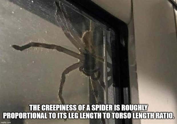 shower thoughts 23 Funny Shower Thoughts #135 (25 photos)