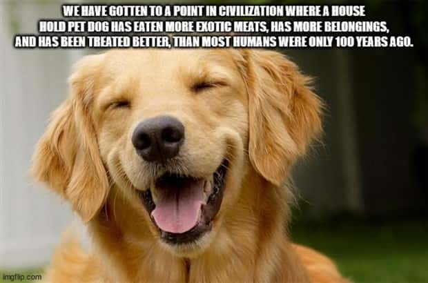 shower thoughts 24 Funny Shower Thoughts #135 (25 photos)