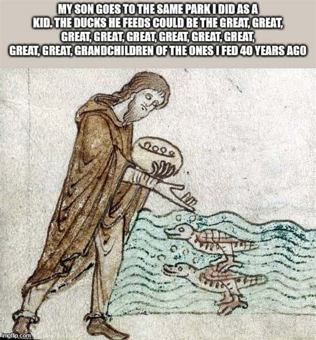 shower thoughts 7 Funny Shower Thoughts #135 (25 photos)