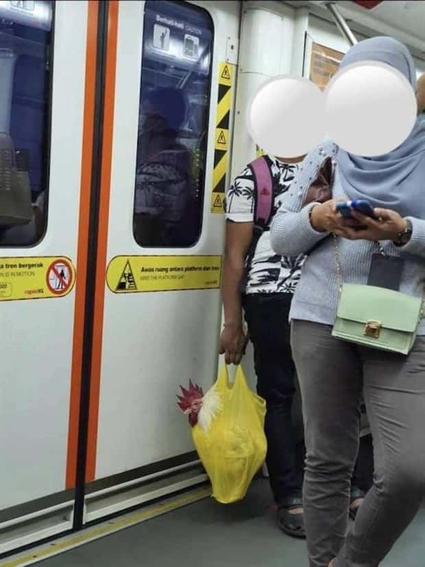 strange subway moments 24 Strange Yet Fascinating Subway Moments (25 photos)