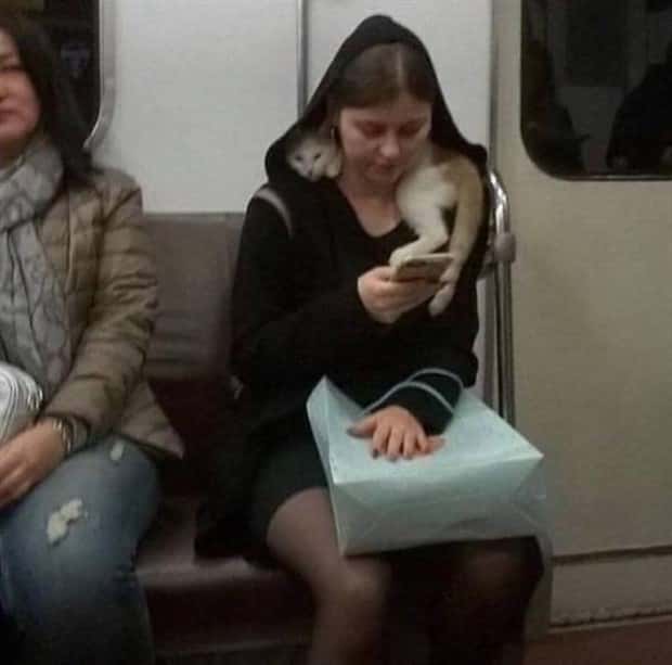 strange subway moments 4 Strange Yet Fascinating Subway Moments (25 photos)