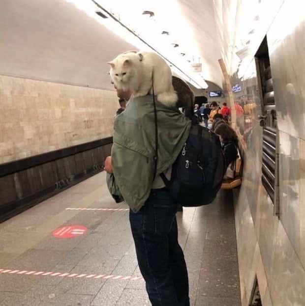 strange subway moments 6 Strange Yet Fascinating Subway Moments (25 photos)