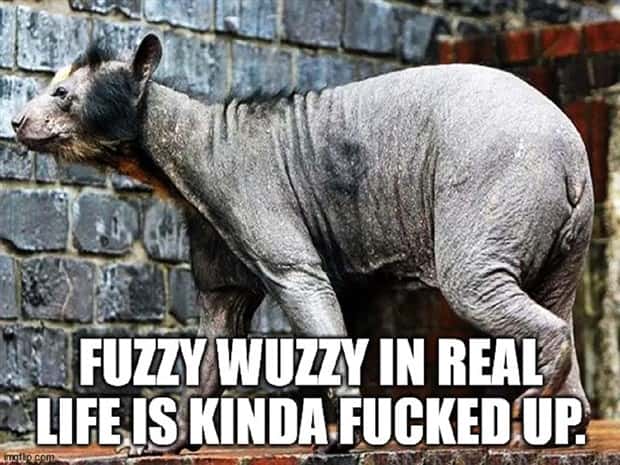 Funny Shower Thoughts #137 (22 photos)