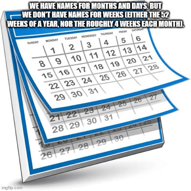 Funny Shower Thoughts #137 (22 photos)