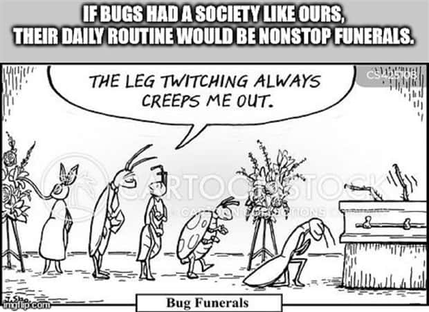 Funny Shower Thoughts #137 (22 photos)