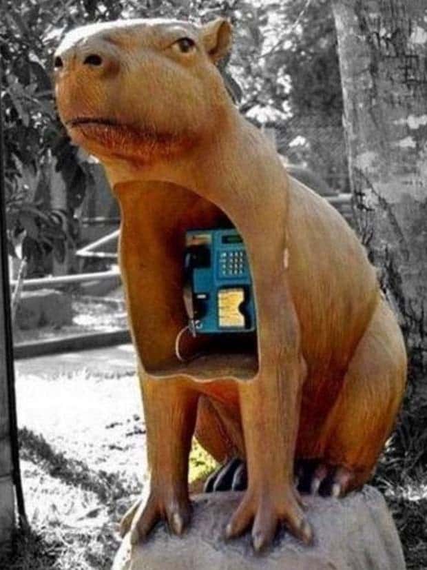 Unique and Abstract Payphone Designs (42 photos)