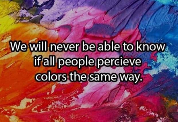 Funny Shower Thoughts #141 (25 photos)