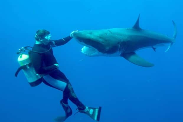 Awesome Pictures You Shouldn’t Miss #139 (22 photos)