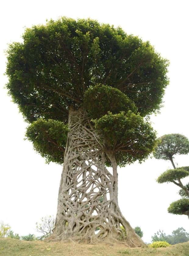 Awesome Pictures You Shouldn’t Miss #139 (22 photos)