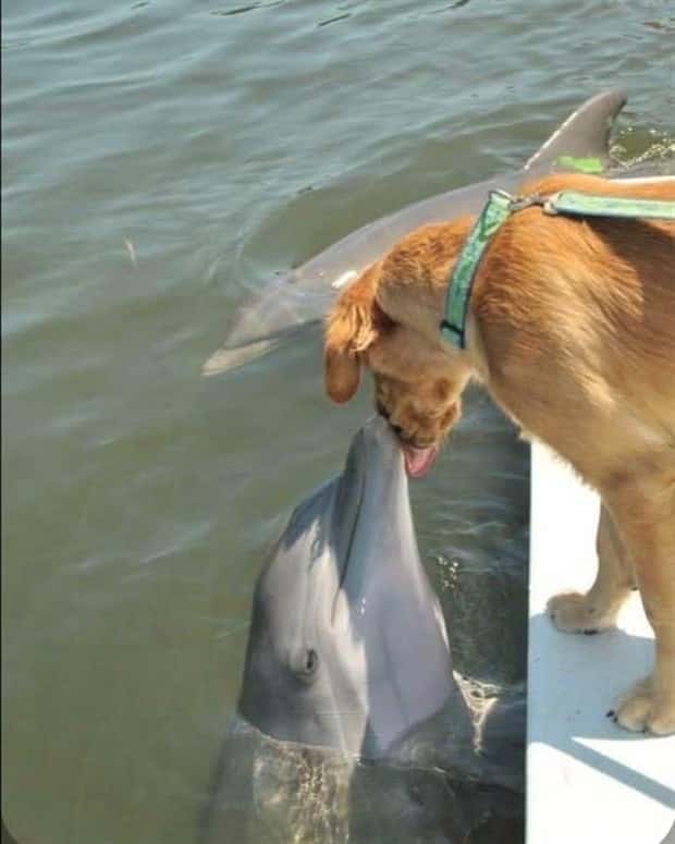 Awesome Pictures You Shouldn’t Miss #141 (24 photos)