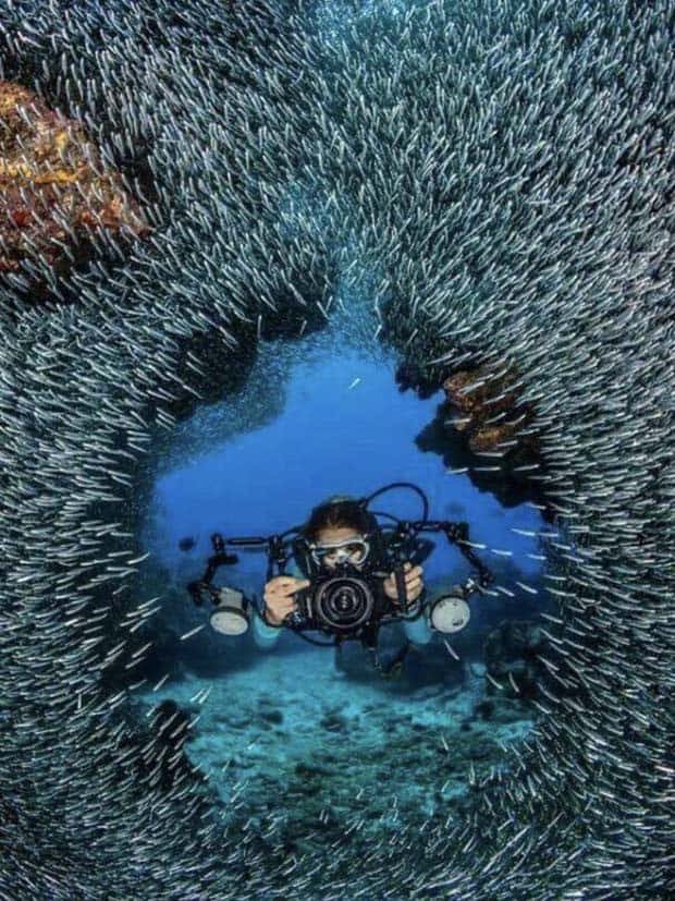 Awesome Pictures You Shouldn’t Miss #138 (27 photos)