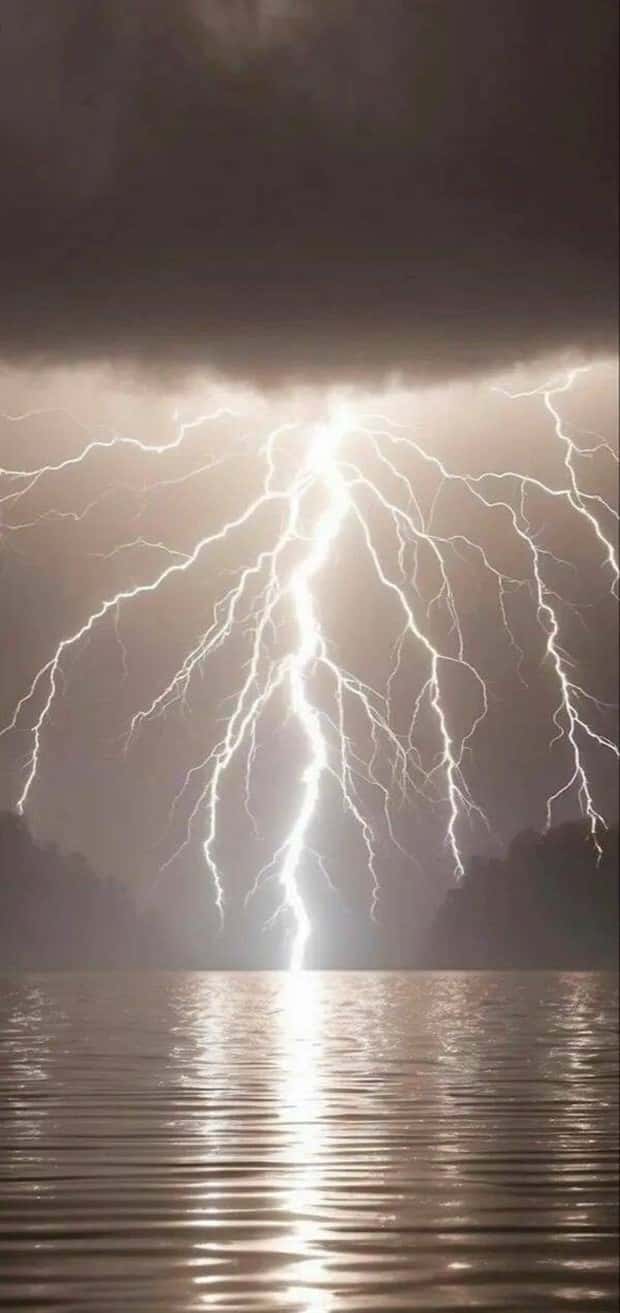 Awesome Pictures You Shouldn’t Miss #141 (24 photos)