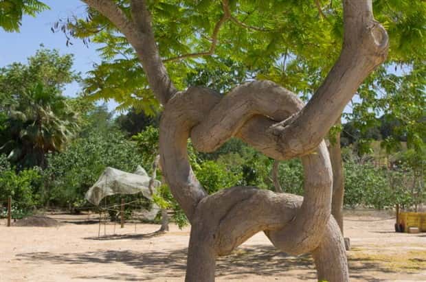 Awesome Pictures You Shouldn’t Miss #138 (27 photos)