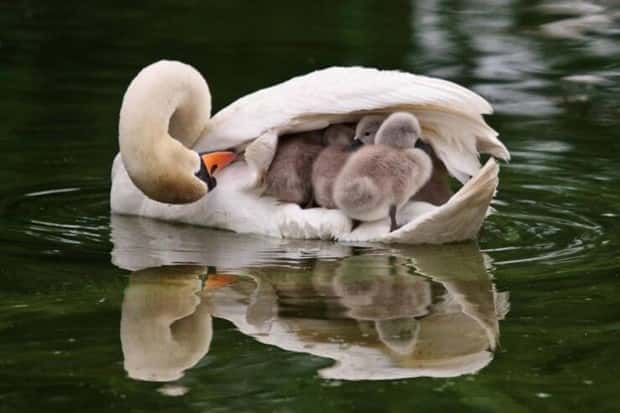 Awesome Pictures You Shouldn’t Miss #138 (27 photos)