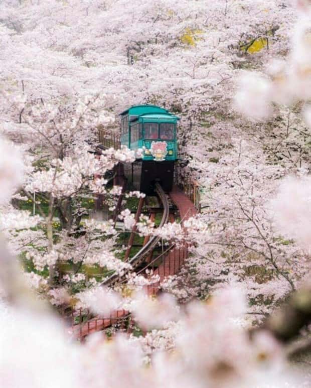 Awesome Pictures You Shouldn’t Miss #139 (22 photos)