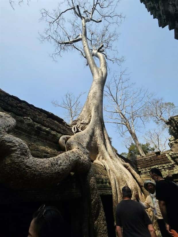 Awesome Pictures You Shouldn’t Miss #139 (22 photos)