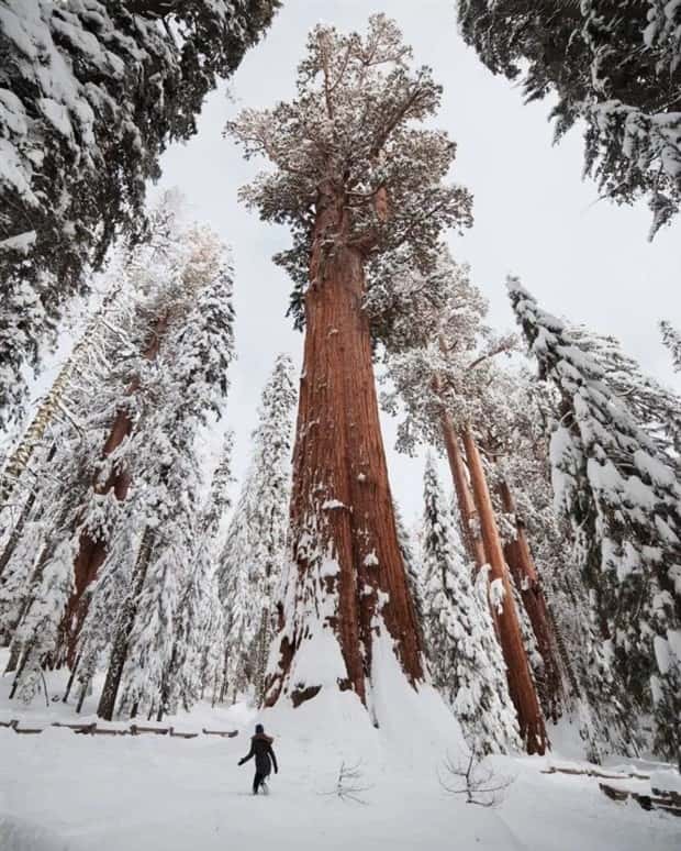 Awesome Pictures You Shouldn’t Miss #141 (24 photos)