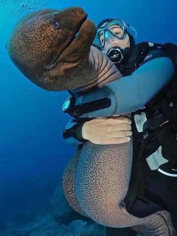 Awesome Pictures You Shouldn’t Miss #138 (27 photos)