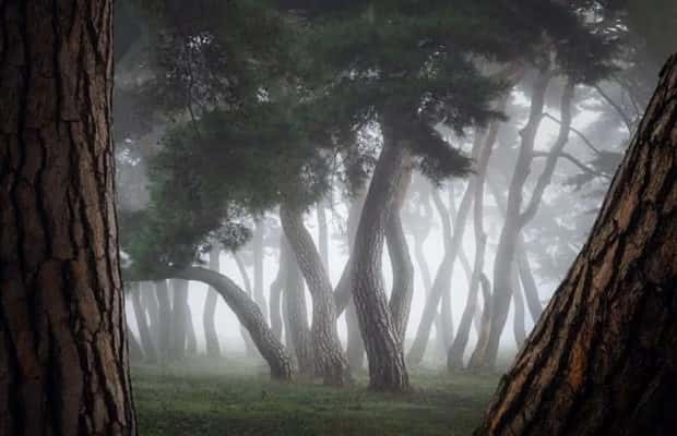 Awesome Pictures You Shouldn’t Miss #141 (24 photos)