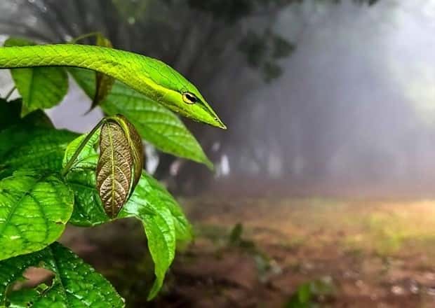 Awesome Pictures You Shouldn’t Miss #138 (27 photos)