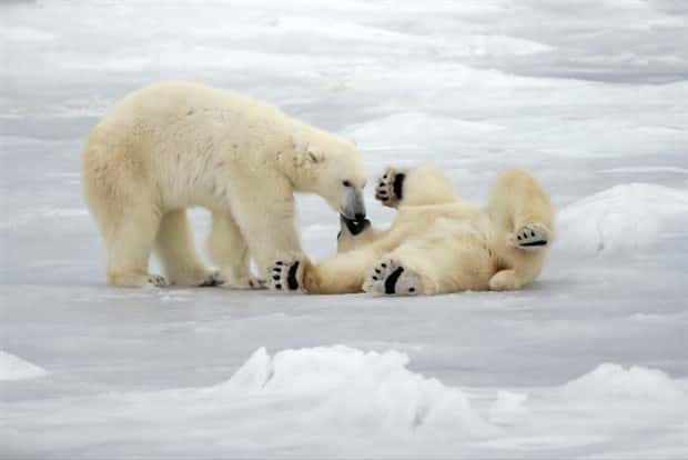 Awesome Pictures You Shouldn’t Miss #139 (22 photos)